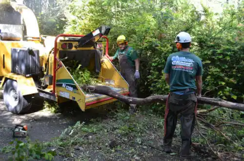 tree services Fort Pierce South